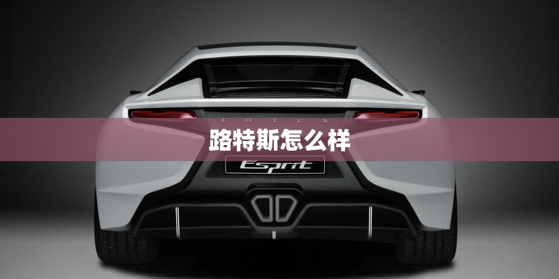 路特斯怎么样