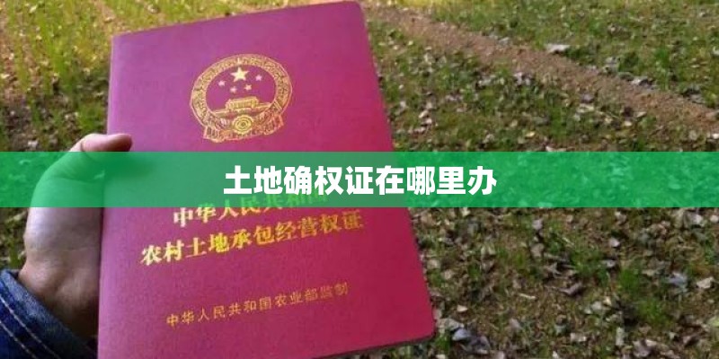 土地确权证在哪里办