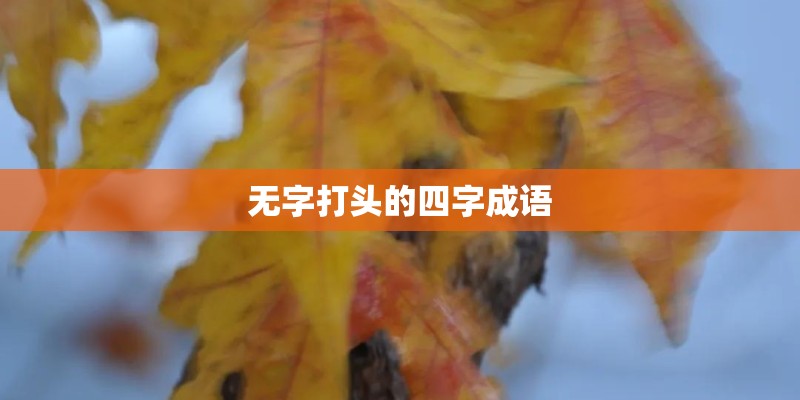 无字打头的四字成语