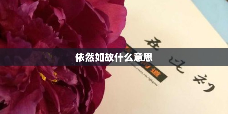 依然如故什么意思 依然如故什么意思