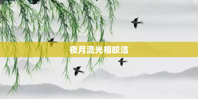 夜月流光相皎洁