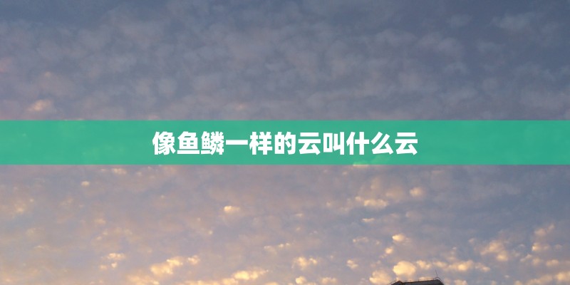 像鱼鳞一样的云叫什么云