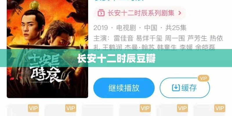 长安十二时辰豆瓣