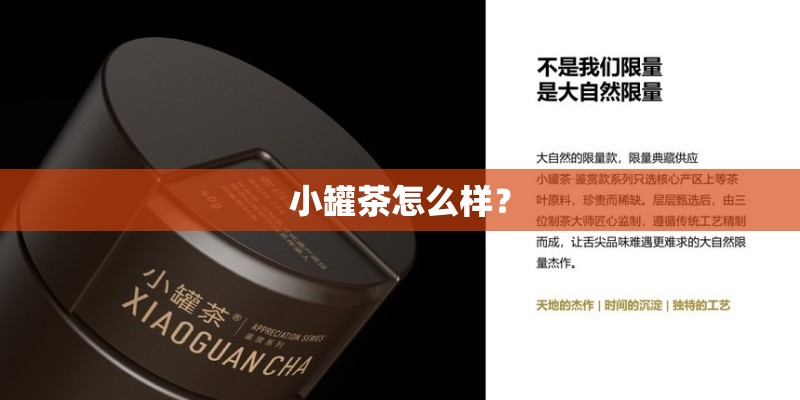 小罐茶怎么样？