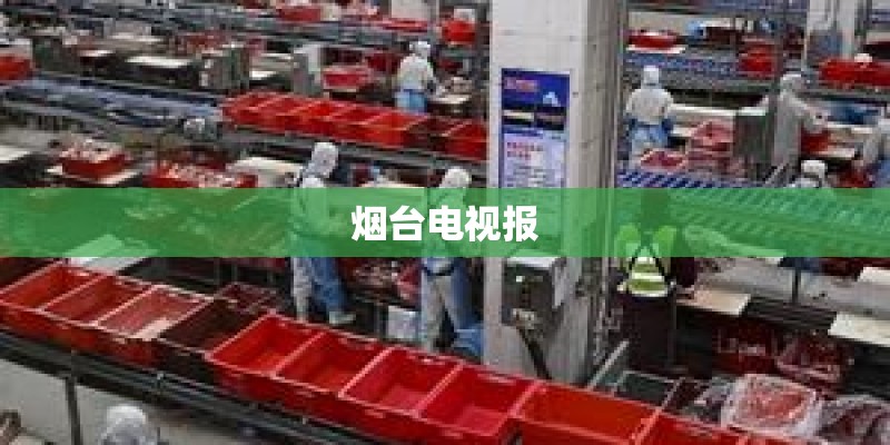 烟台电视报