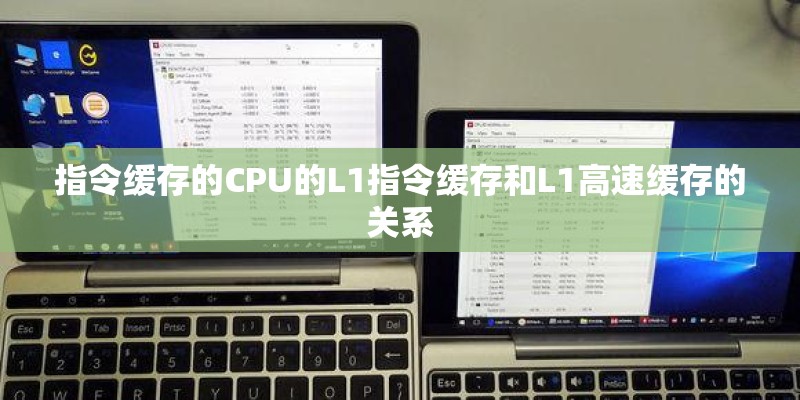 指令缓存的CPU的L1指令缓存和L1高速缓存的关系