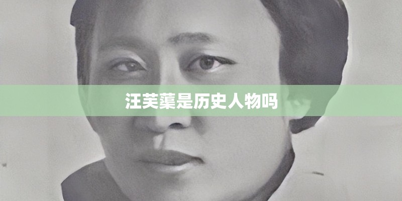 汪芙蕖是历史人物吗