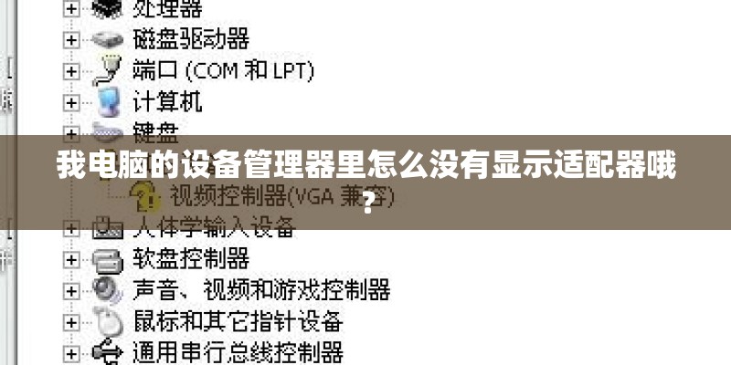 我电脑的设备管理器里怎么没有显示适配器哦？