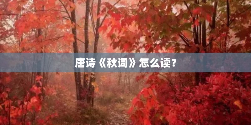 唐诗《秋词》怎么读？