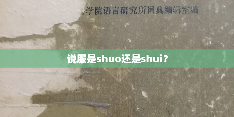 说服是shuo还是shui？