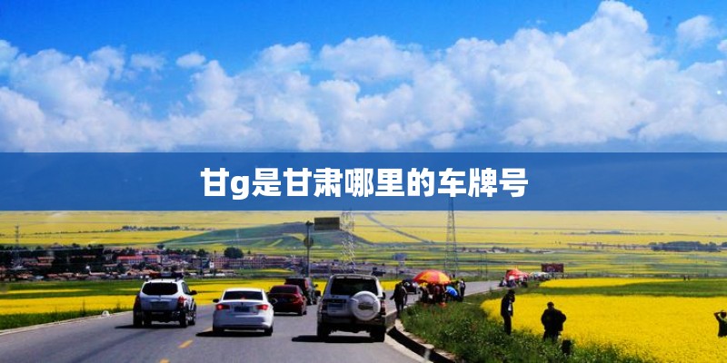 甘g是甘肃哪里的车牌号