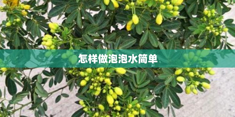 詹姆斯打的是什么位置？
