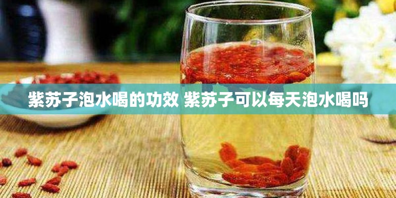 紫苏子泡水喝的功效 紫苏子可以每天泡水喝吗