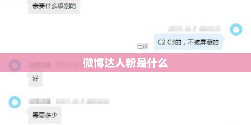 微博达人粉是什么