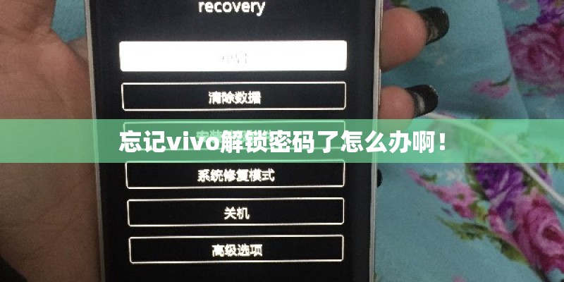 忘记vivo解锁密码了怎么办啊！