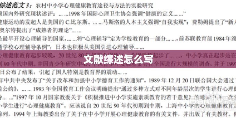 文献综述怎么写