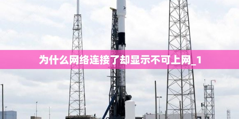 为什么网络连接了却显示不可上网_1