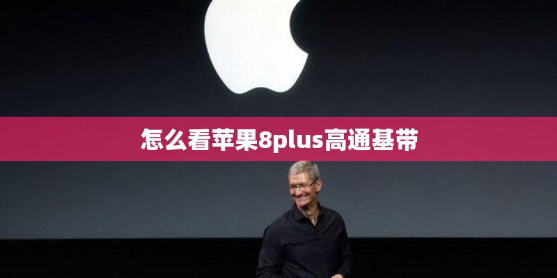 怎么看苹果8plus高通基带