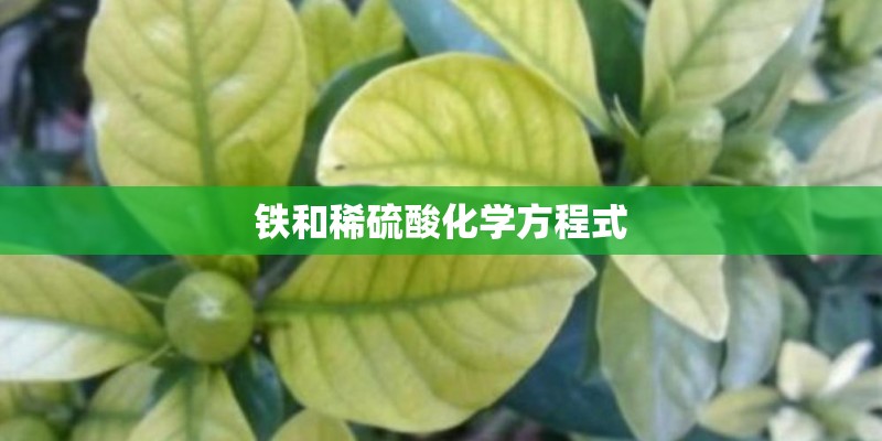 铁和稀硫酸化学方程式