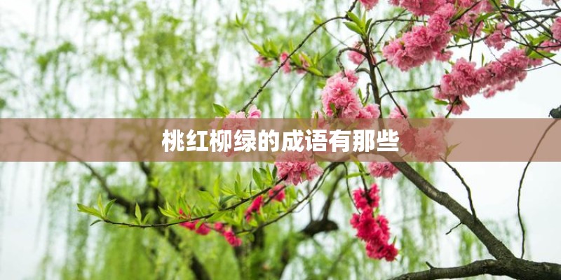 桃红柳绿的成语有那些