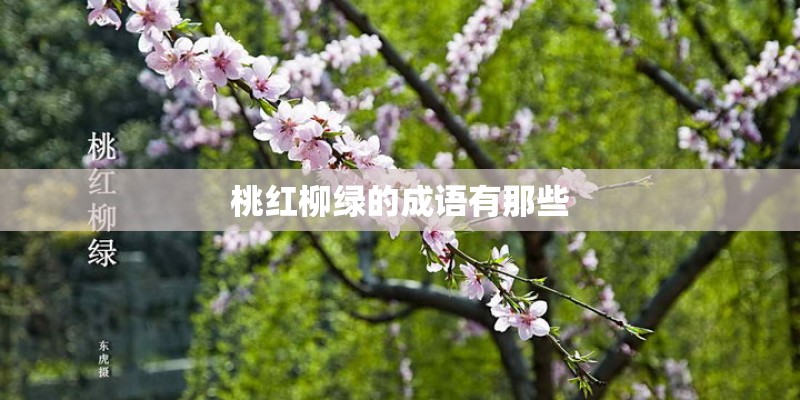 桃红柳绿的成语有那些