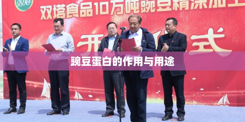 豌豆蛋白的作用与用途