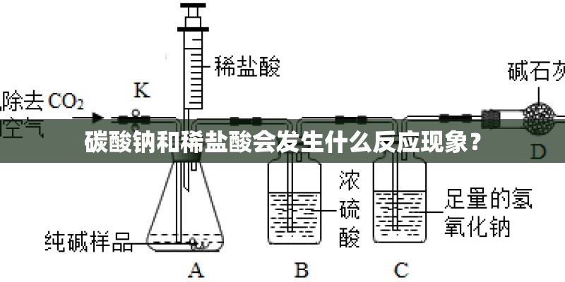 碳酸钠和稀盐酸会发生什么反应现象？