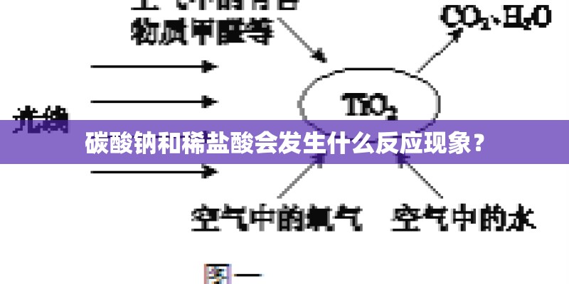 碳酸钠和稀盐酸会发生什么反应现象？