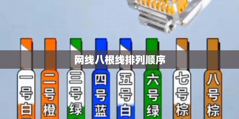 网线八根线排列顺序