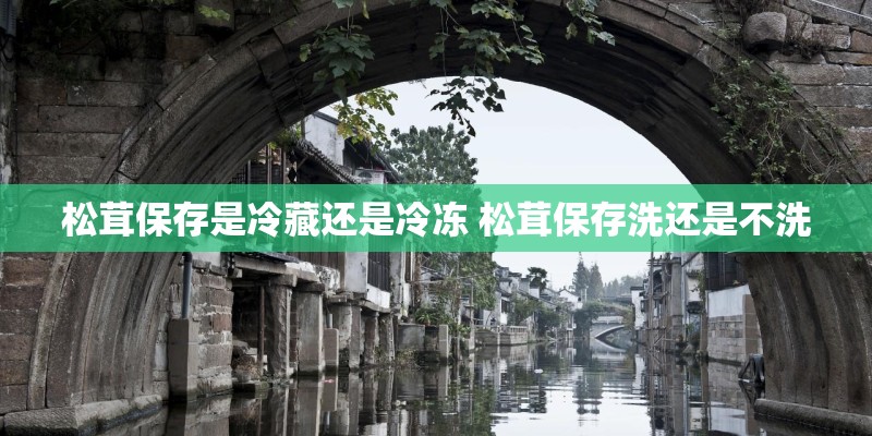 松茸保存是冷藏还是冷冻 松茸保存洗还是不洗