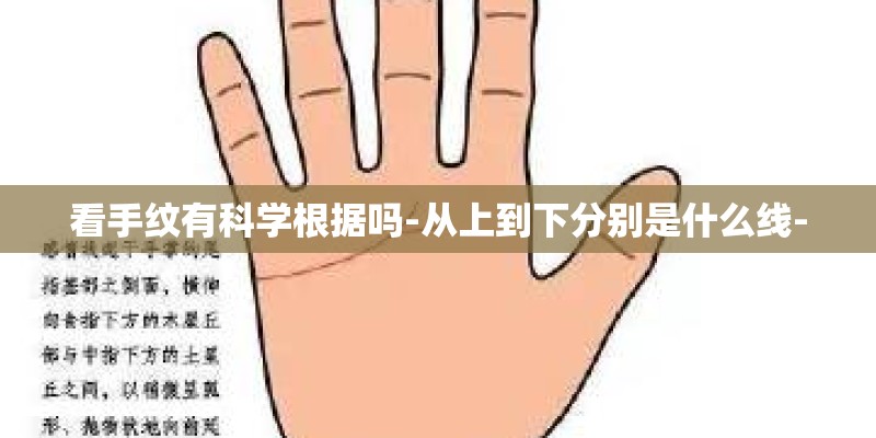 看手纹有科学根据吗-从上到下分别是什么线-
