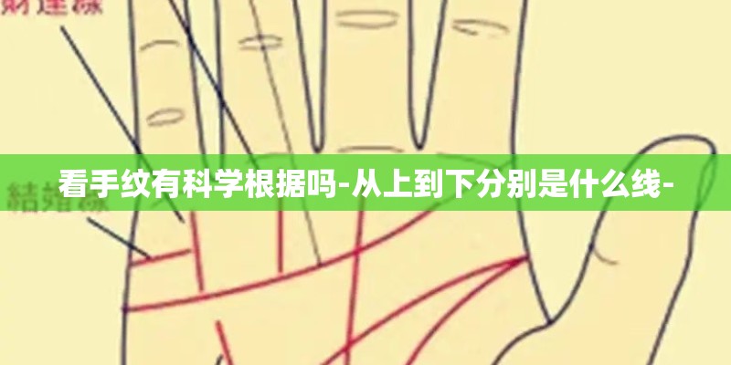 看手纹有科学根据吗-从上到下分别是什么线-