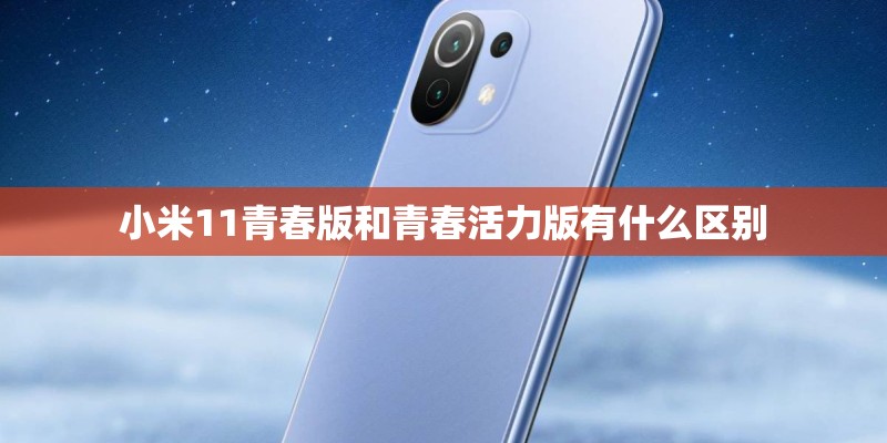 小米11青春版和青春活力版有什么区别