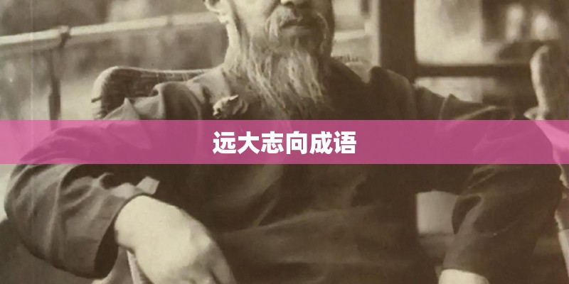 远大志向成语