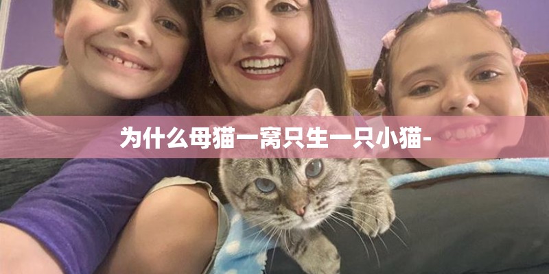 为什么母猫一窝只生一只小猫-