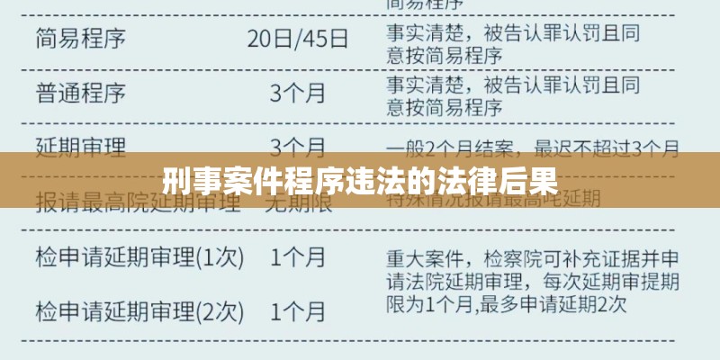 刑事案件程序违法的法律后果