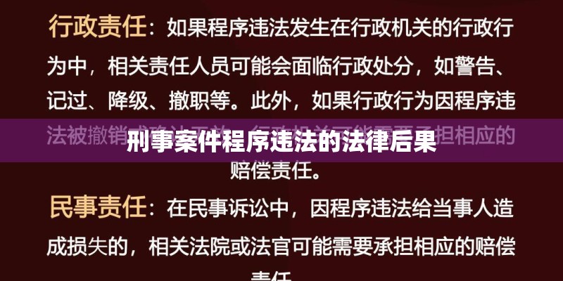 刑事案件程序违法的法律后果
