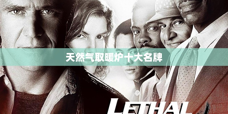 天然气取暖炉十大名牌