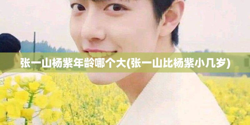 张一山杨紫年龄哪个大(张一山比杨紫小几岁)