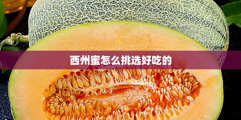 西州蜜怎么挑选好吃的