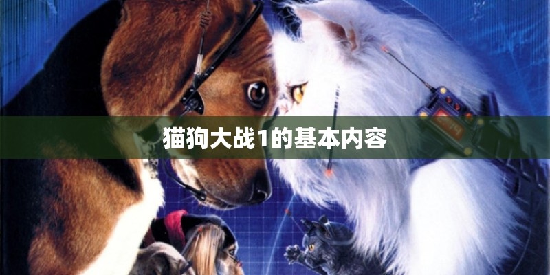 猫狗大战1的基本内容 猫狗大战1的基本内容