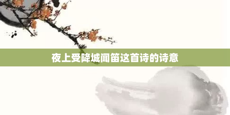 夜上受降城闻笛这首诗的诗意