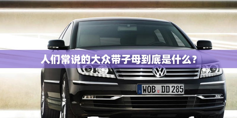 人们常说的大众带子母到底是什么？