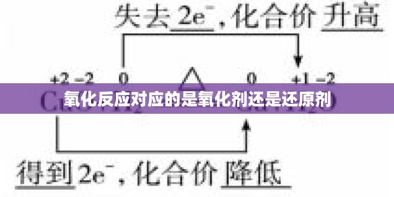 氧化反应对应的是氧化剂还是还原剂