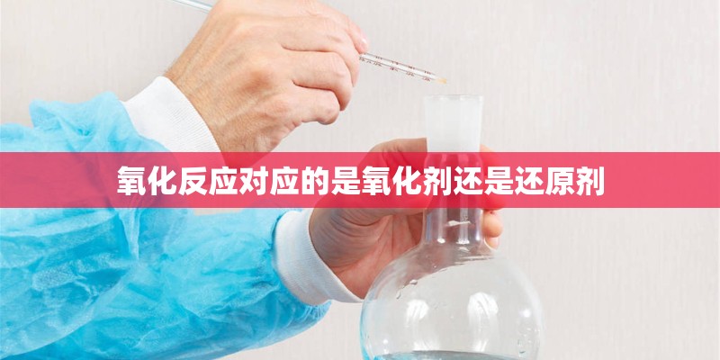 氧化反应对应的是氧化剂还是还原剂
