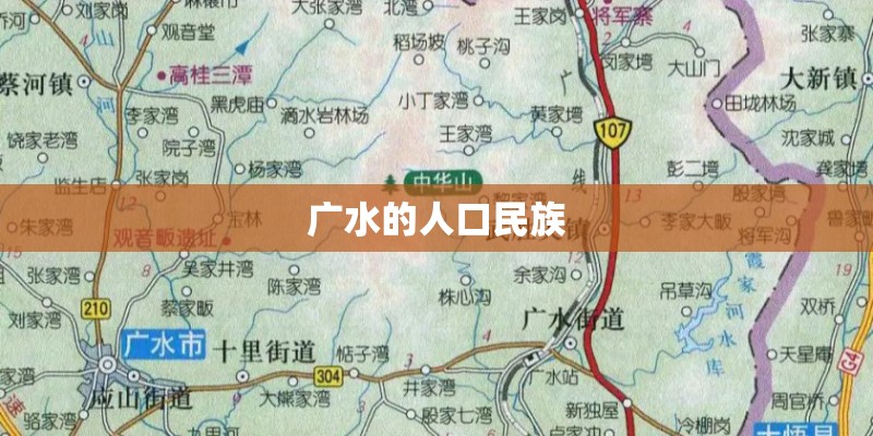 广水的人口民族
