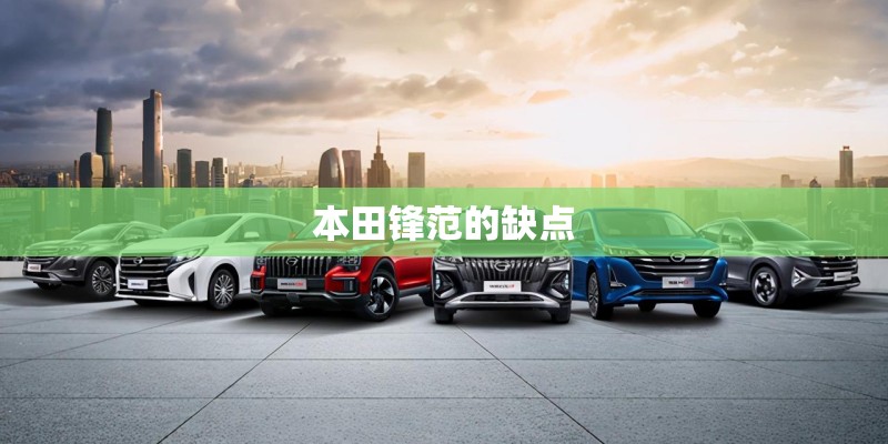 本田锋范的缺点