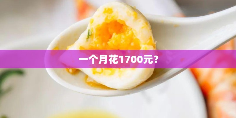 一个月花1700元？