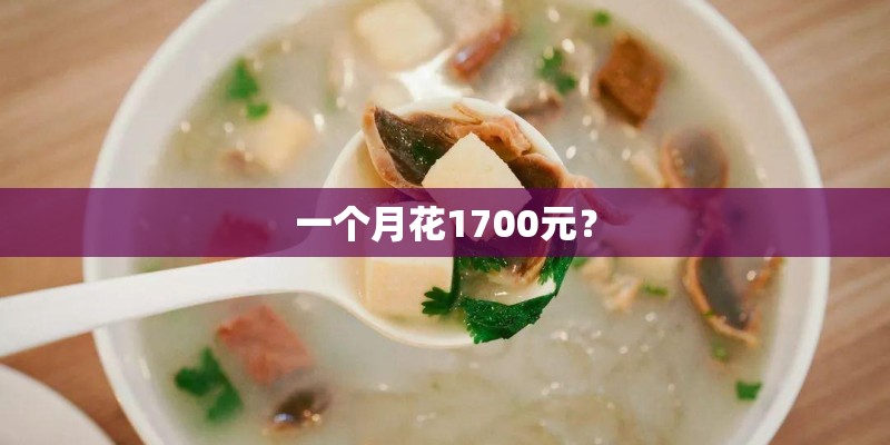 一个月花1700元？