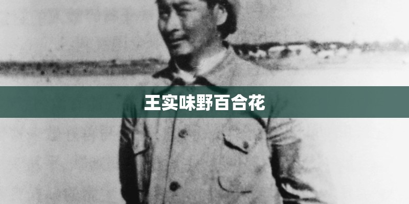 王实味野百合花